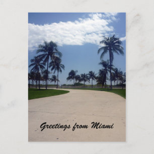 Mami-Palmenweg Postkarte