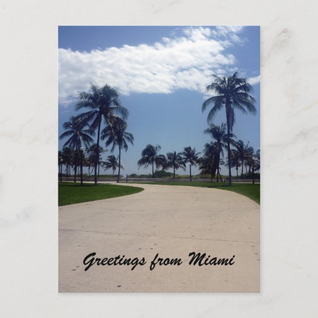 Mami-Palmenweg Postkarte (Vorderseite)