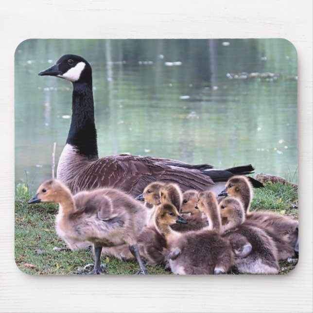 Mamma Gänse und Babies Mousepad (Vorne)