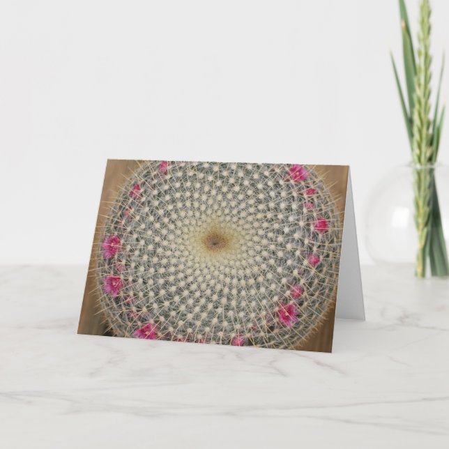 Mammillaria card karte (Vorderseite)