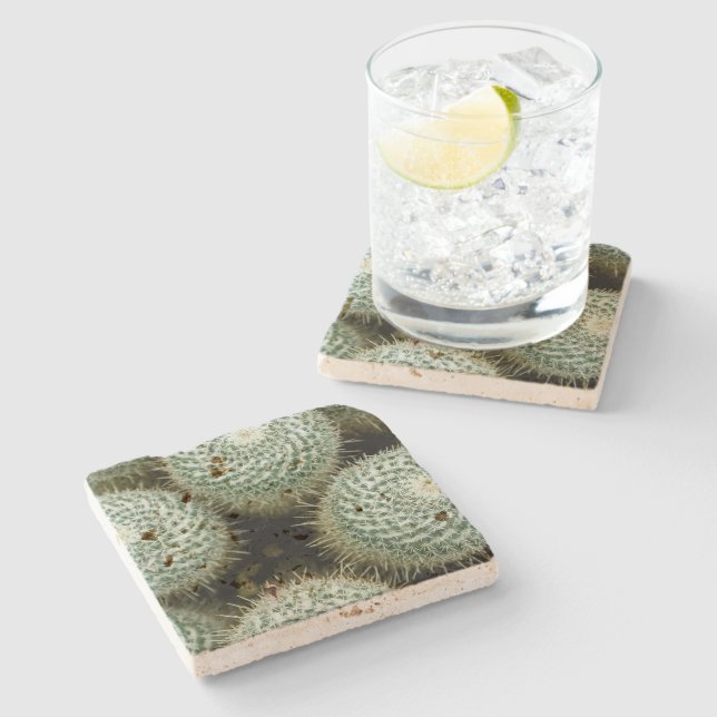 Mammillaria hahniana steinuntersetzer (Seitenansicht)