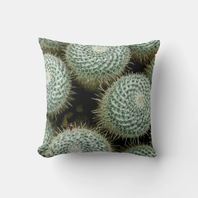 Mammillaria hahniana Throw Pillow Kissen (Vorderseite)