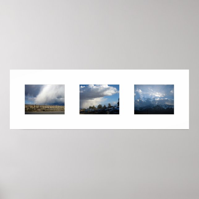 Mammoth 3 Fotos (40x13,33) 180dpi Poster (Vorne)