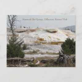 Mammoth Hot Springs, Yellowstone Nationalpark Postkarte