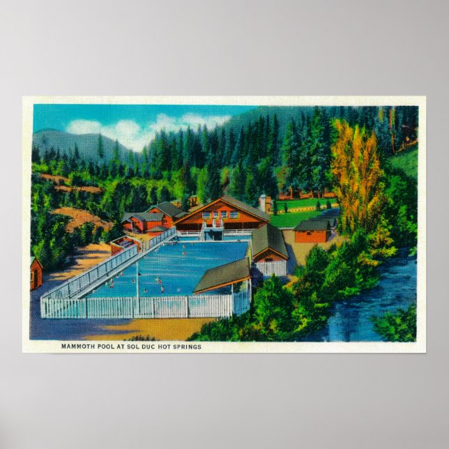 Mammoth Pool im Sol Duc Hot Springs Poster (Vorne)