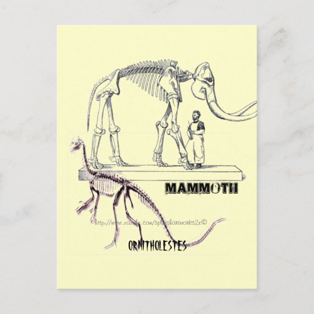 "Mammoth" Postkarte (Vorderseite)