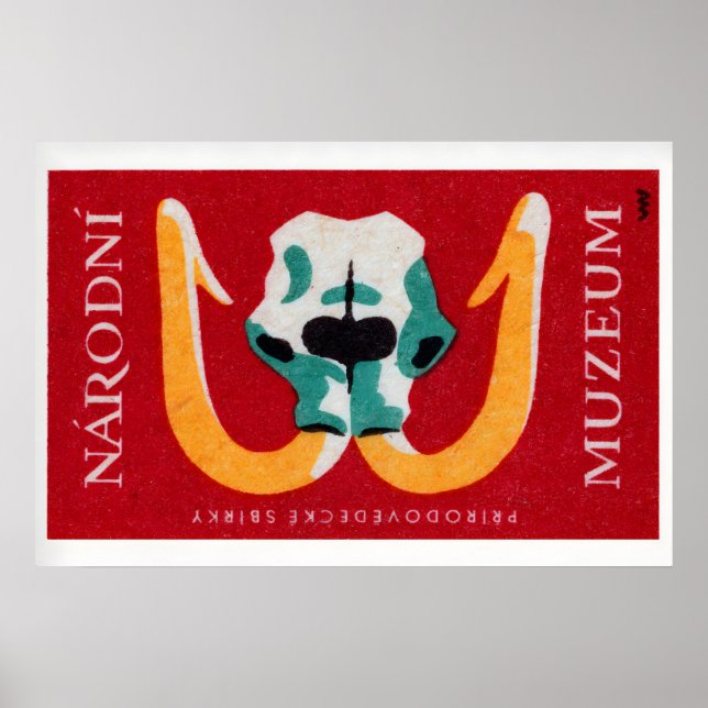 Mammoth Skull - Matchbox Print - Czech Wall Art Poster (Vorne)
