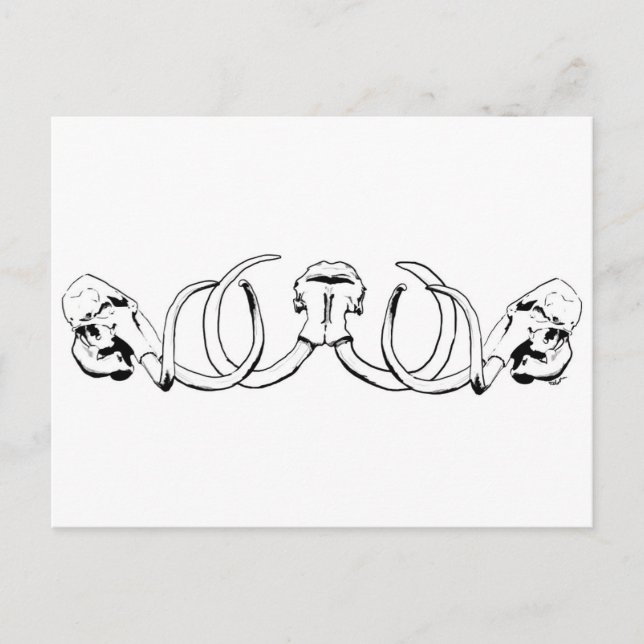 Mammoth Skull Postcard Postkarte (Vorderseite)
