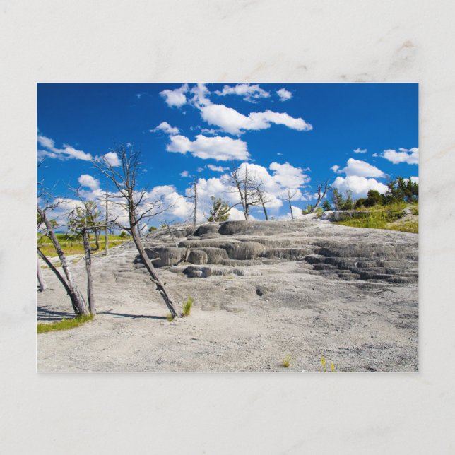 Mammoth Springs Postkarte (Vorderseite)