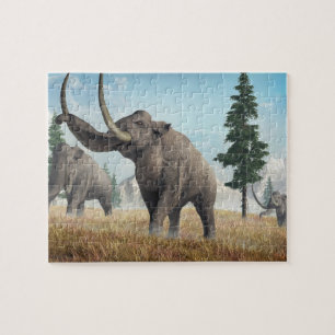 Mammoths