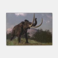 Mammut - 3D übertragen