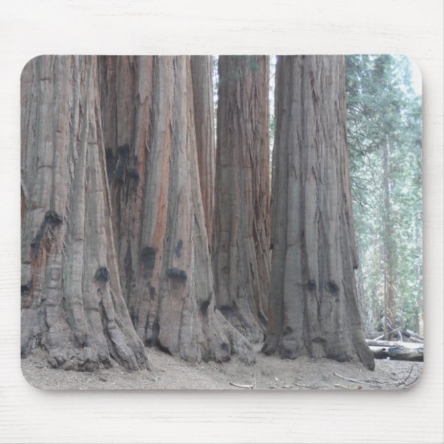 Mammutbaum-Nationalpark Mousepad (Vorne)