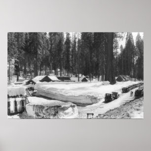 Mammutbaum-Nationalpark-Schnee-Szene im Dorf Poster
