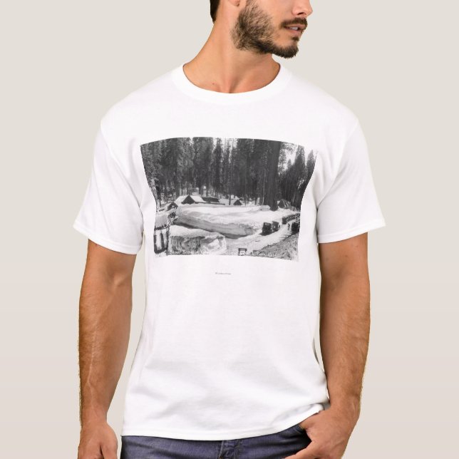 Mammutbaum-Nationalpark-Schnee-Szene im Dorf T-Shirt (Vorderseite)