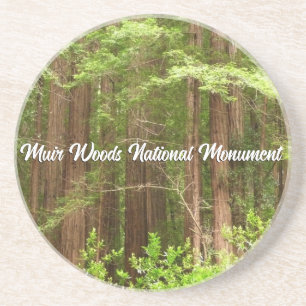 Mammutbäume im Muir Woods National Monument Getränkeuntersetzer