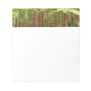 Mammutbäume im Muir Woods National Monument Notizblock