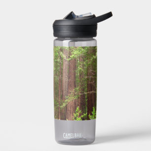 Mammutbäume im Muir Woods National Monument Trinkflasche