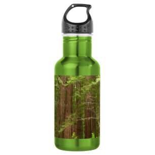 Mammutbäume im Muir Woods National Monument Trinkflasche