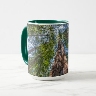 Mammutbäume Marin County, Kalifornien Tasse