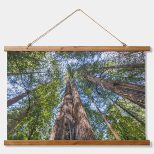 Mammutbäume Marin County, Kalifornien Wandteppich Mit Holzrahmen