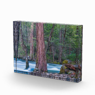 Mammutbäume & Merced River Yosemite National Park, Fotoblock