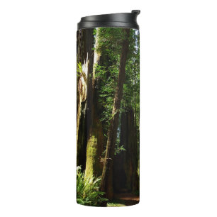 Mammutbäume und Farne im Redwood National Park Thermosbecher