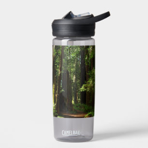 Mammutbäume und Farne im Redwood National Park Trinkflasche