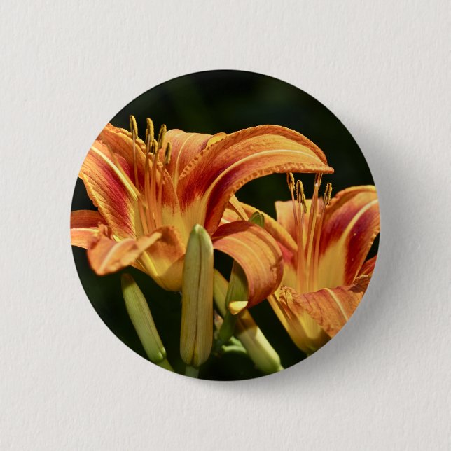 Man denke an die Lilien des Felds Button (Vorderseite)