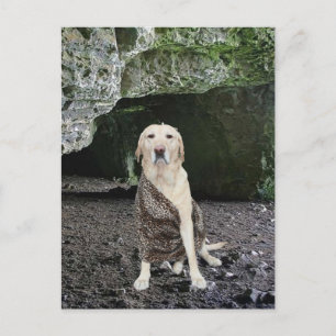 Man Höhle Einladung