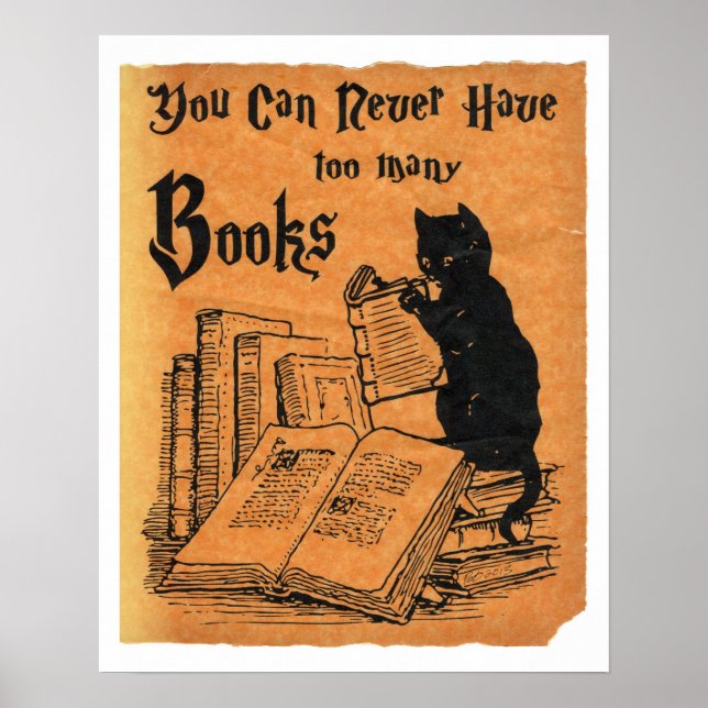 Man kann nie zu viele Bücher als weißes Plakat hab (Vorne)