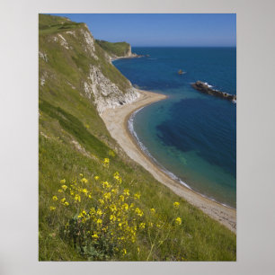 Man of War Bay, Jurassische Küste, Lulworth, Dorse Poster