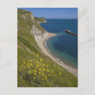 Man of War Bay, Jurassische Küste, Lulworth, Dorse Postkarte