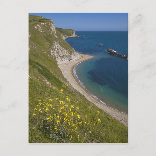 Man of War Bay, Jurassische Küste, Lulworth, Dorse Postkarte (Vorderseite)