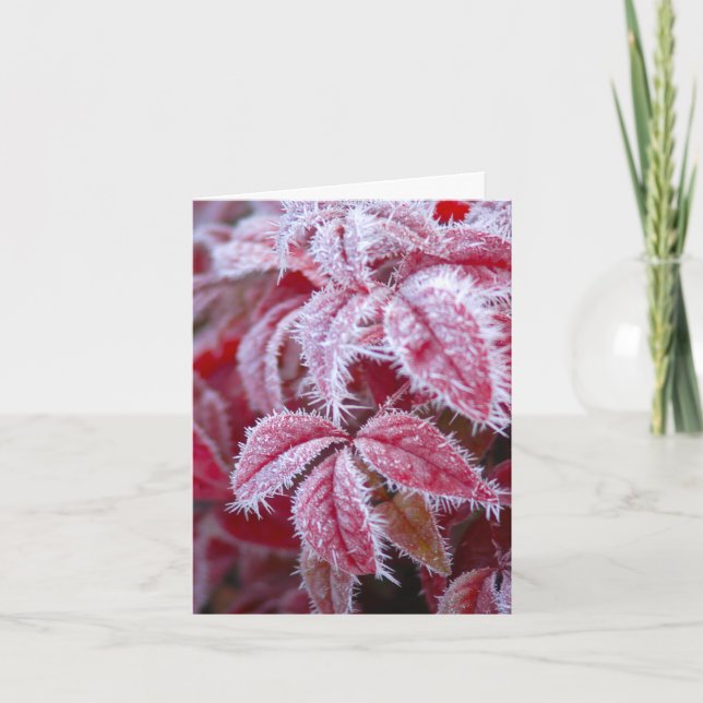 Man schmilzt den Frost vom Gruß Karte (Vorderseite)