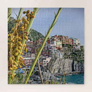 Manarola - Cinque Terre - Oliven - 20x20 - 676 Stk