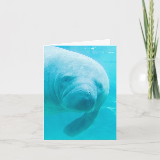 Manatee Digital Art "oh hi" Karte (Vorderseite)