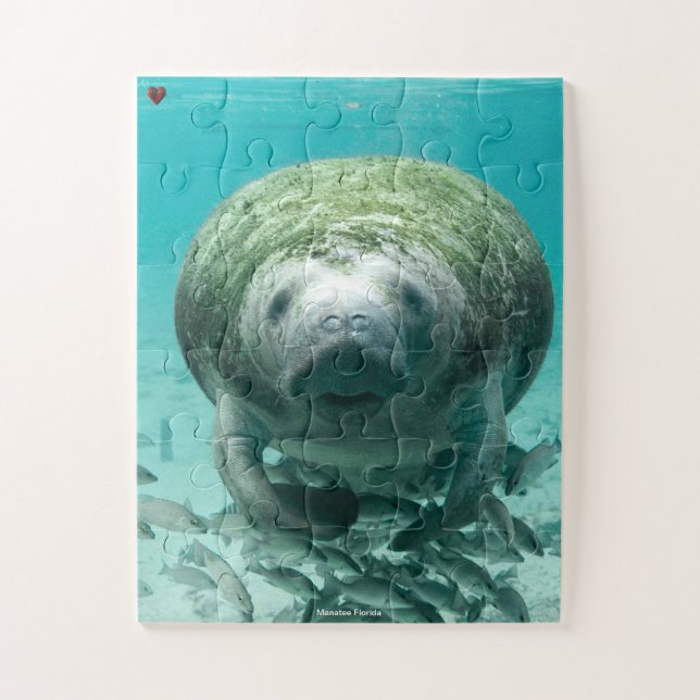 Manatee Florida (Vertikal)