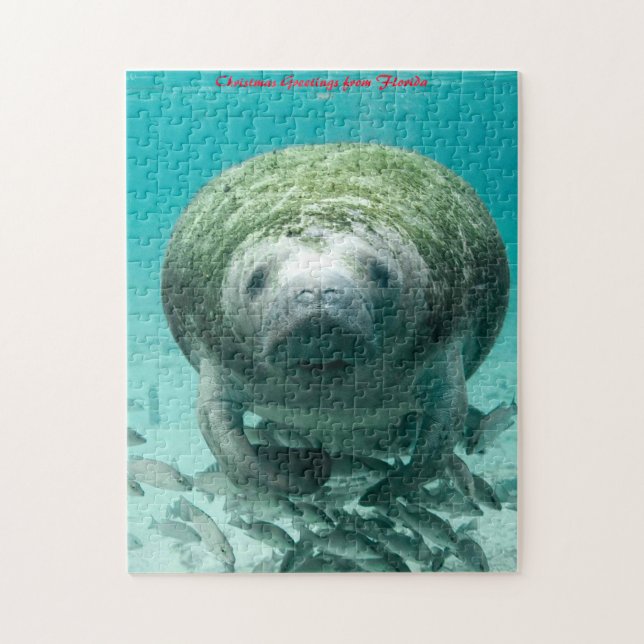 Manatee Florida. Weihnachtsgrüße (Vertikal)