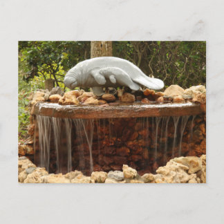 Manatee Fountain Postkarte