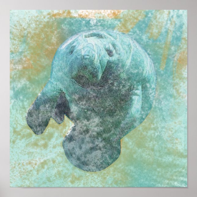 Manatee in Wasserküstenkunst Poster (Vorne)