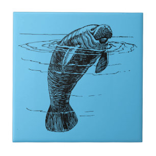 Manatee-Keramik Fliese