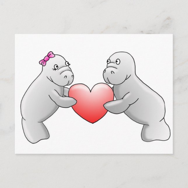 Manatee-Liebe-Postkarte Postkarte (Vorderseite)