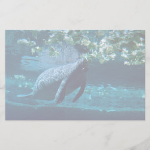 Manatee, Lowry Park Zoo, Tampa Bay, Florida, USA Briefpapier