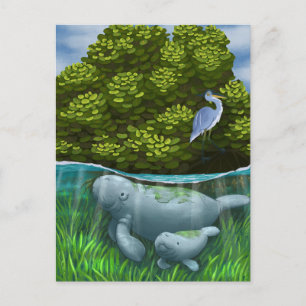 Manatee Mama und Calf Postkarte