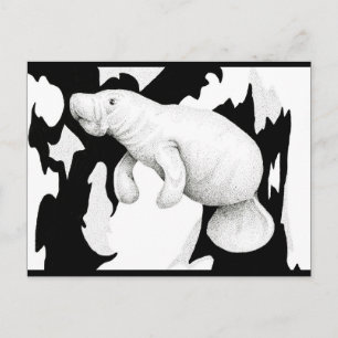 Manatee Postcard Postkarte