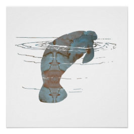 Manatee Poster