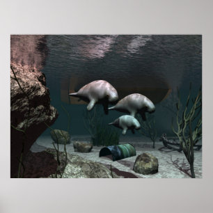 Manatee Poster