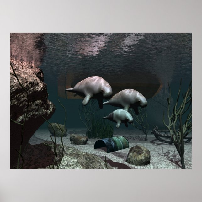 Manatee Poster (Vorne)