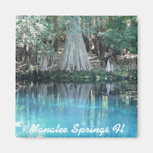 Manatee Springs Fl Magnet (Vorne)
