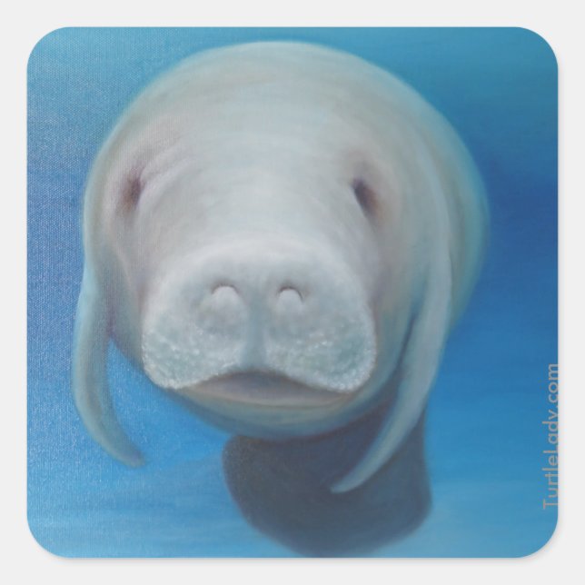 Manatee Stickers (Vorderseite)